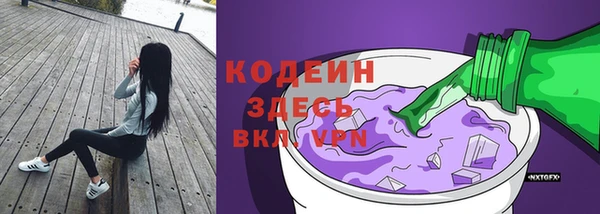 дурь Гусиноозёрск