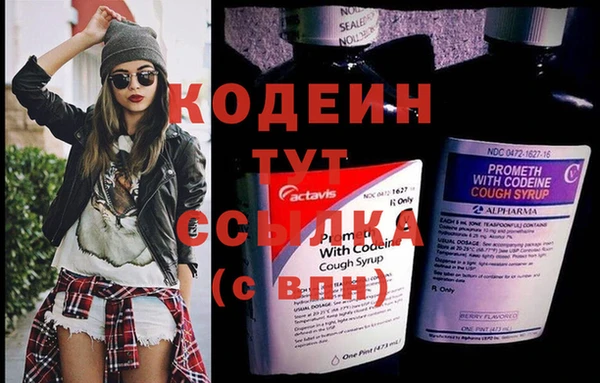 таблы Гусев
