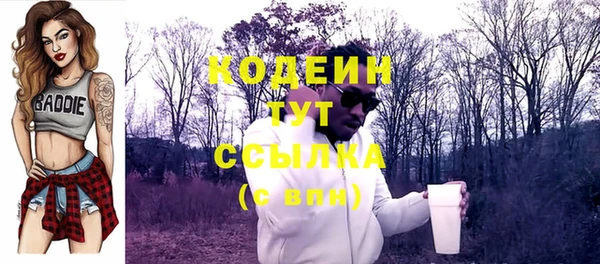 ПСИЛОЦИБИНОВЫЕ ГРИБЫ Гусь-Хрустальный