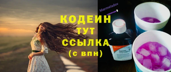 ПСИЛОЦИБИНОВЫЕ ГРИБЫ Гусь-Хрустальный