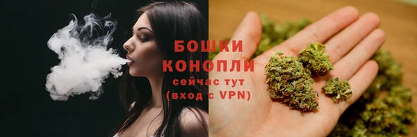 ПСИЛОЦИБИНОВЫЕ ГРИБЫ Гусь-Хрустальный