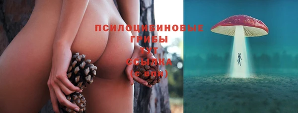 дурь Гусиноозёрск