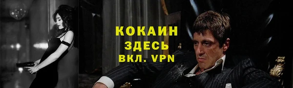 таблы Гусев