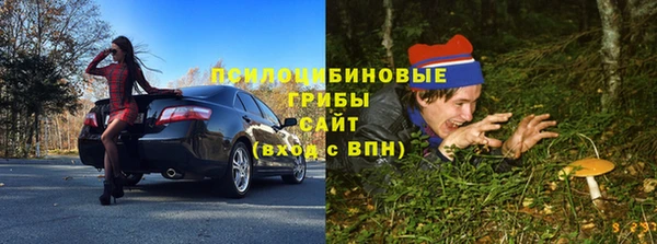 соль ск Горно-Алтайск