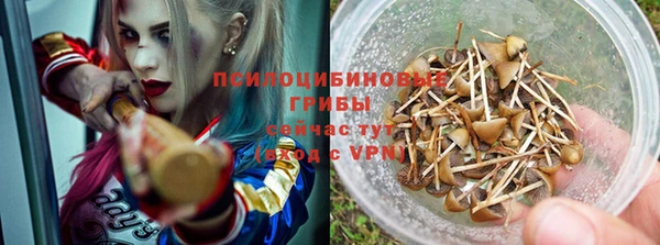 таблы Гусев