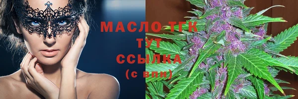 таблы Гусев