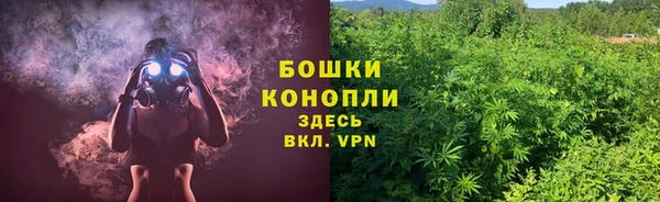 дурь Гусиноозёрск