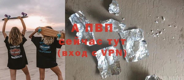 ПСИЛОЦИБИНОВЫЕ ГРИБЫ Гусь-Хрустальный