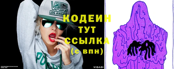 таблы Гусев
