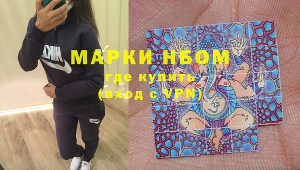 ПСИЛОЦИБИНОВЫЕ ГРИБЫ Гусь-Хрустальный