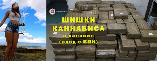 дурь Гусиноозёрск