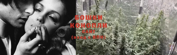 дурь Гусиноозёрск