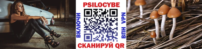 Псилоцибиновые грибы MAGIC MUSHROOMS  Покровск 